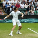 On his way to the title: Andy Murray at Wimbledon 2013